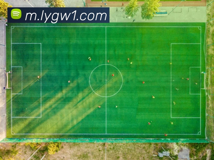 乐鱼体育官网平台生态图